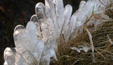 ‘Frosty’ New Year’s Eve in store as cold spell of weather forecast – The Irish Times