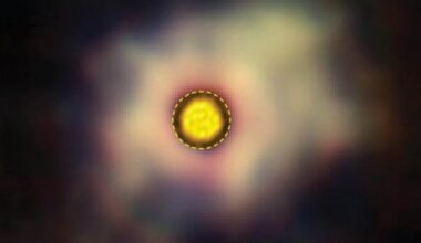 Stardust contains life's ingredients - but how do they travel?