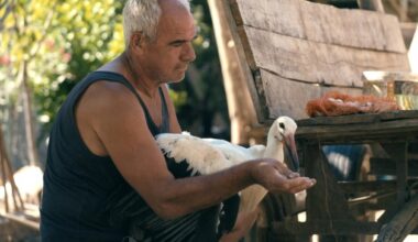 IDA Documentary Award Winners Led by The Tale of Silyan