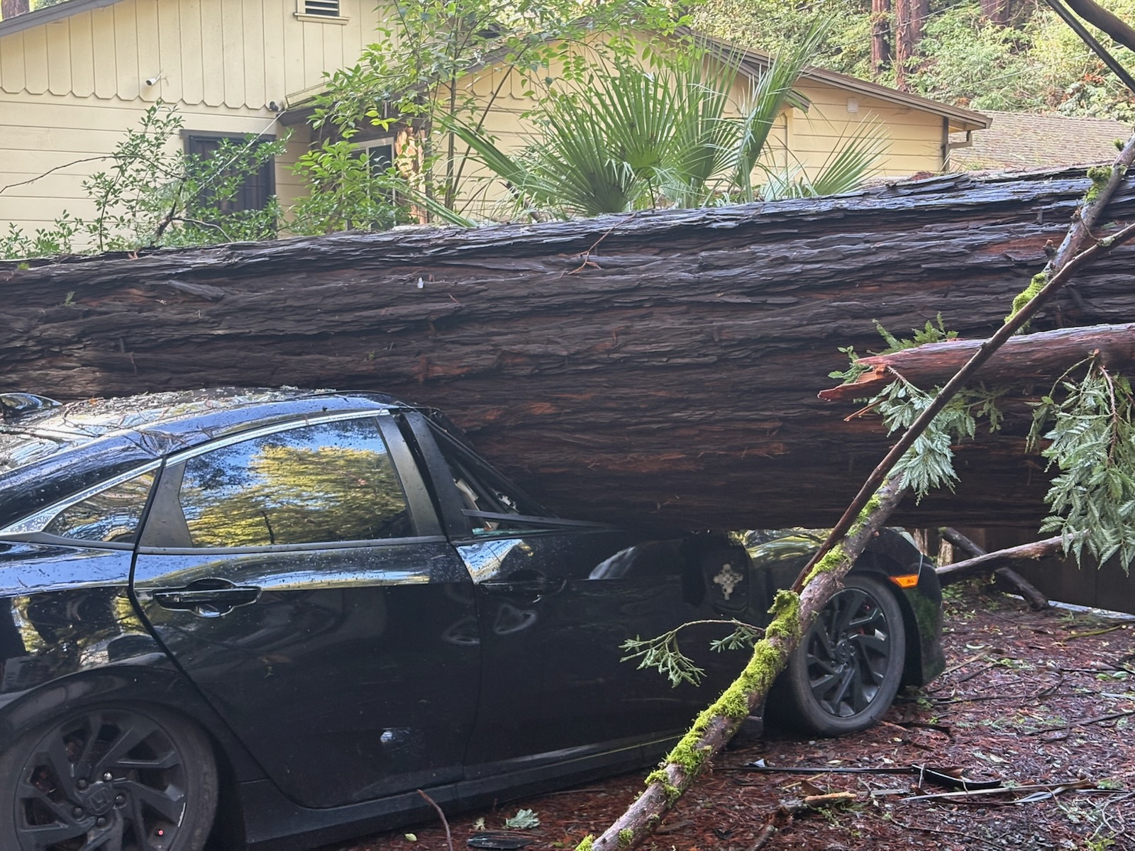 One of two cars smashed on a neighborsâ property by...