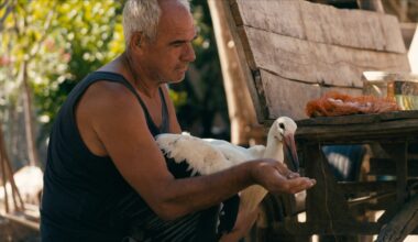 2025 IDA Documentary Awards Winners List