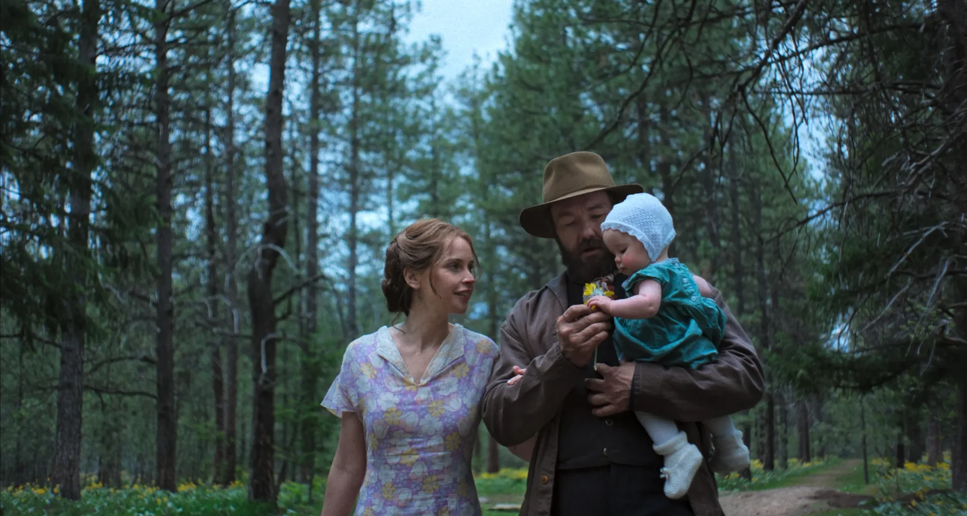 Trains Dreams - DMovies