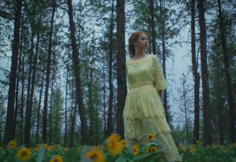 A woman in a pale yellow, vintage-style dress stands in a field of yellow wildflowers surrounded by tall pine trees, looking to the side under a cloudy sky.