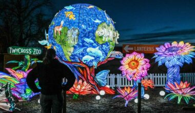 Mesmerizing Lantern Display Lights Up December With Mile-Long Homage to Wildlife