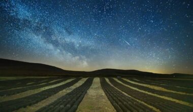Light pollution is surprisingly straightforward to fix when communities work together – The Irish Times