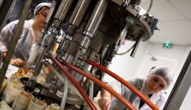 Euro zone business activity expands at fastest pace in 30 months in November, PMI shows