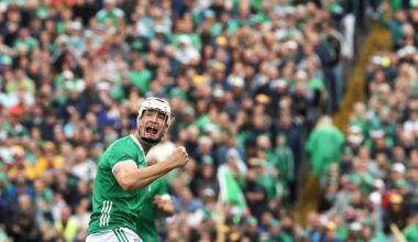 I’d compare Leinster’s dip to the Limerick hurlers. Both will come good again – The Irish Times