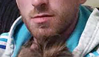 Cork hospital murder accused shouted ‘this man ate my son’, court hears – The Irish Times