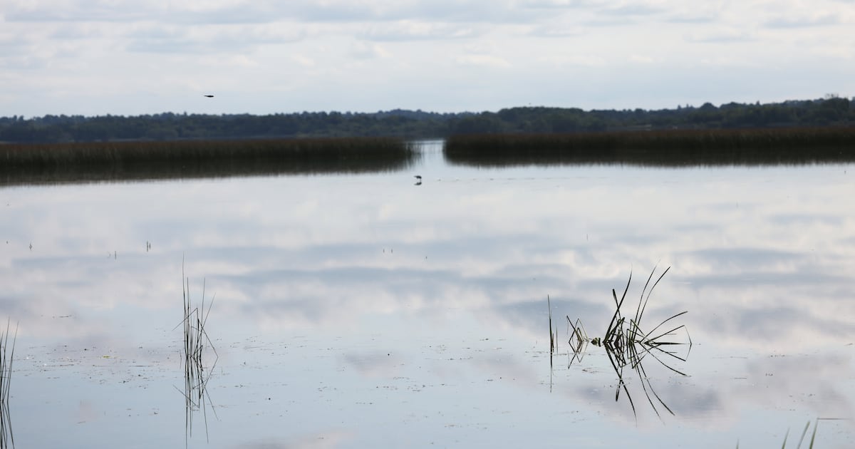 Companies face questions over water usage as new licence regulations take effect – The Irish Times