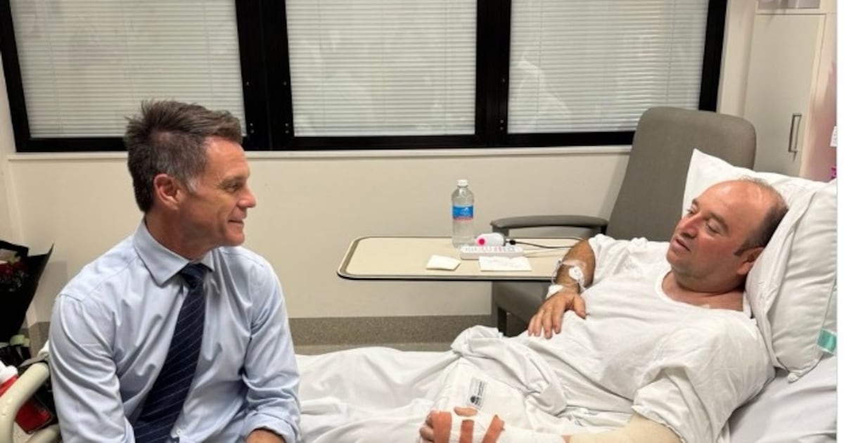 ‘My target was just to take the gun,’ says wounded Bondi Beach hero Ahmed al-Ahmed – The Irish Times