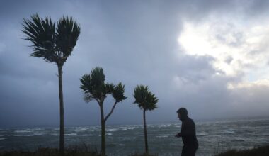 Temperature of 17.2 degrees recorded in Dublin during Storm Bram, says Met Éireann – The Irish Times
