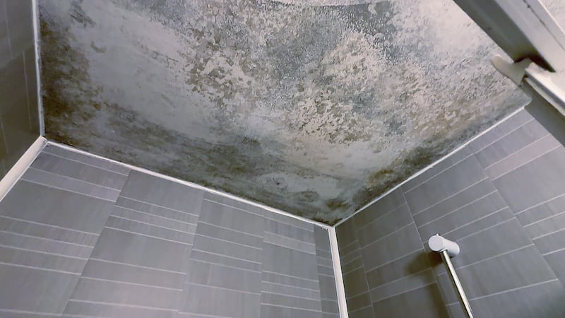 Damp and mouldy ceiling over the shower unit