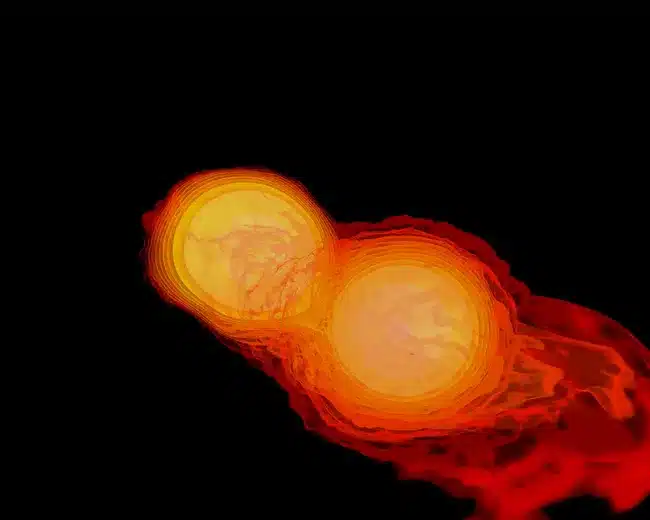 Xdyiaarkxrmsbtzqsb4fbg 650 80.jpg