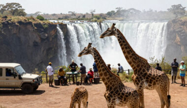 Zimbabwe’s Tourism Industry Sees Unprecedented Growth In 2025, With South Africa, Mozambique, And Zambia As Leading Source Markets For Foreign Arrivals