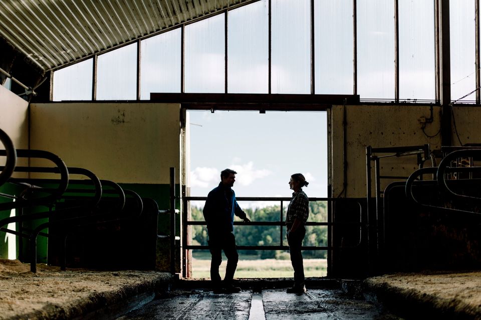The High Court warns spouses in farming divorces against making "deliberate deception" or denying asset ownership, following cases where husbands misled the court about inherited and valuable lands. Stock Image.