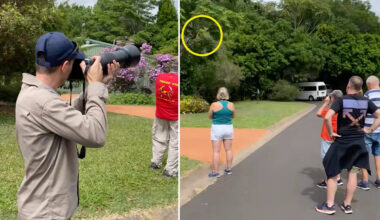 Incredibly rare discovery in Aussie street sparks summer warning: 'Most people don't know'