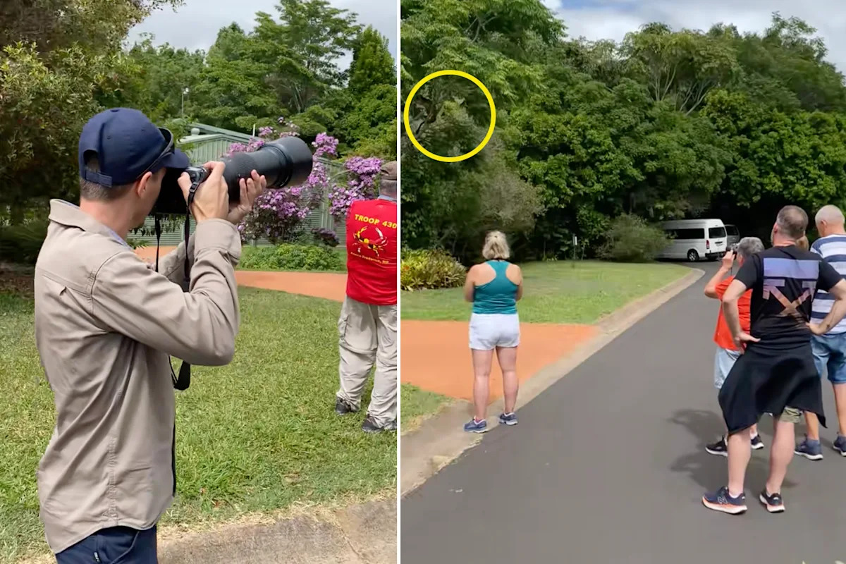 Incredibly rare discovery in Aussie street sparks summer warning: 'Most people don't know'