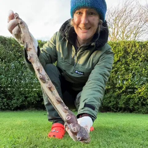 Dr Lauren Smith/East Grampian Coastal Partnership A woman wearing a blue woolly hat, green jacket and trousers and red shoes is down on one knee in a garden while holding one of the octopus arms.