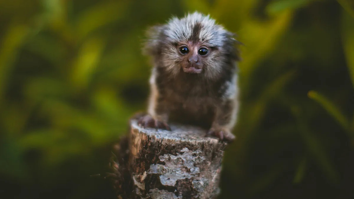 Yahoo lifestyle home