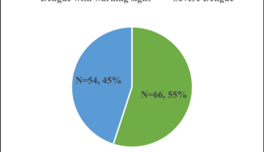 Integrating Ultrasonographic and Biochemical Markers to Assess Dengue Severity in Critical Care: A Retrospective Study