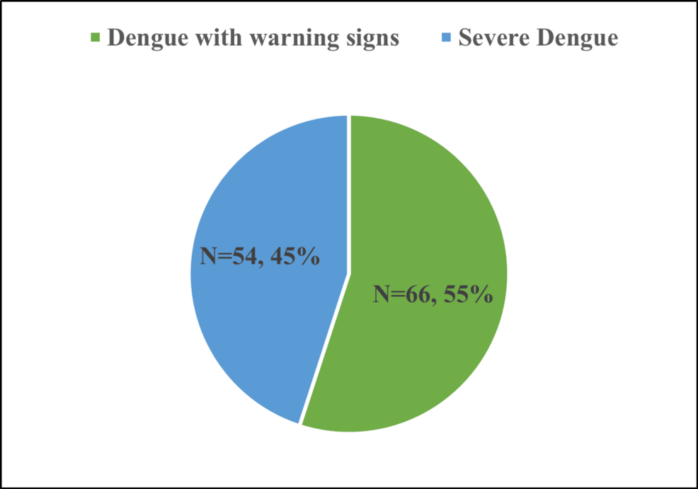 Integrating Ultrasonographic and Biochemical Markers to Assess Dengue Severity in Critical Care: A Retrospective Study