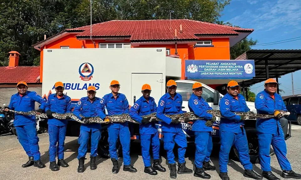 Nine-man crew poses with python.