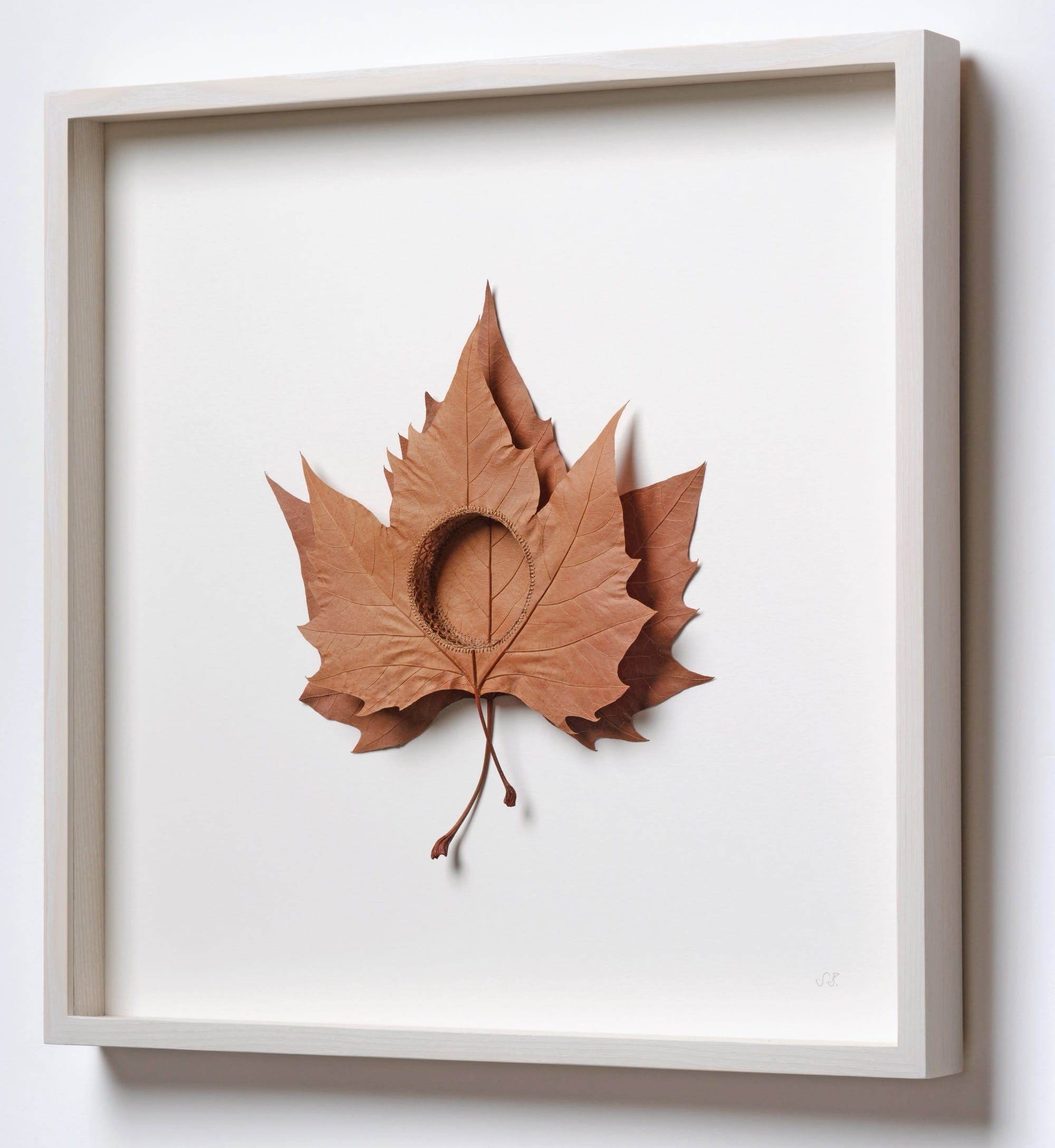 An oblique view of a framed composition by Susanna Bauer of two plane tree leaves stitched layered on top of one another and stitched together