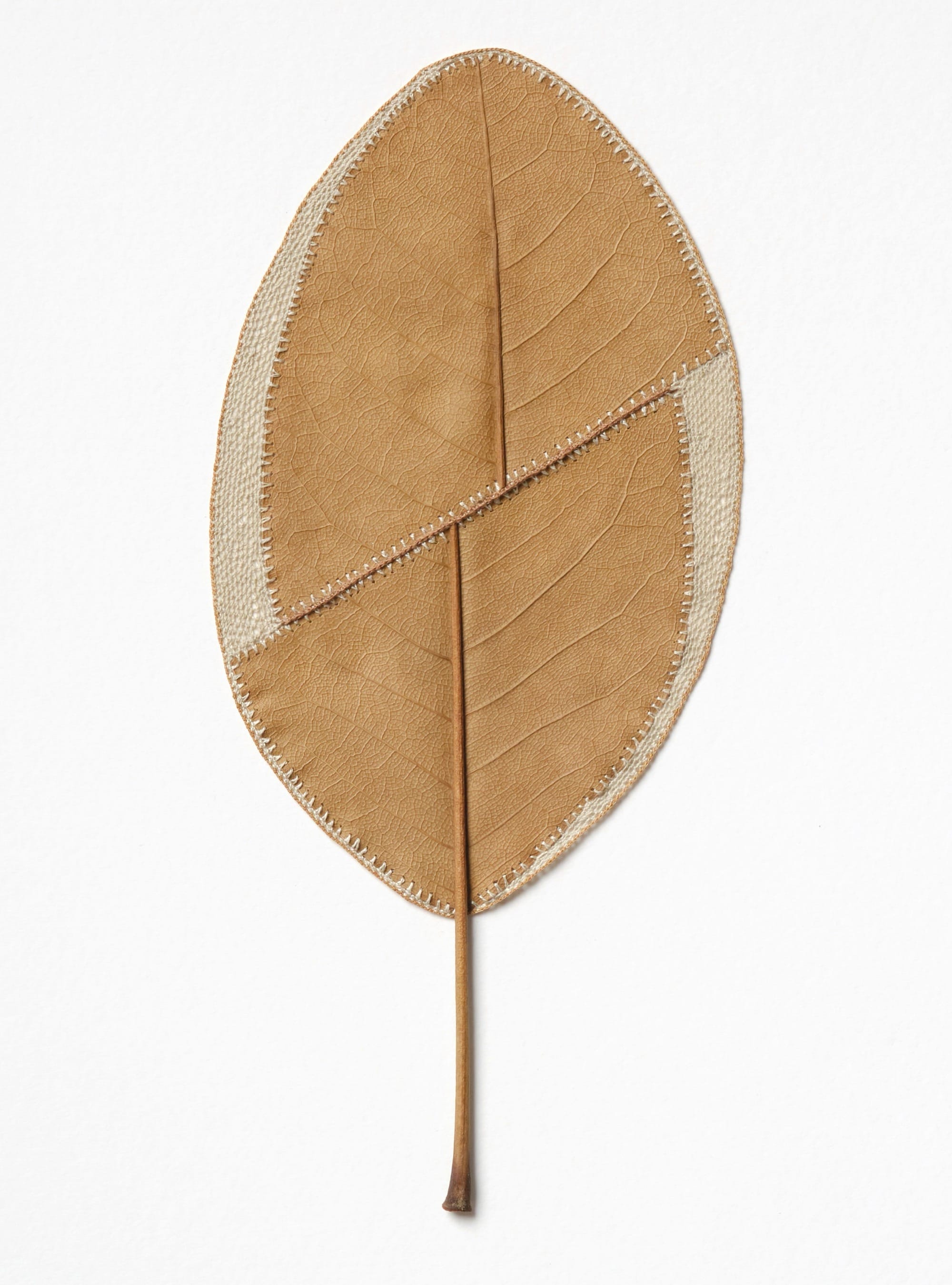 An artwork composition by Susanna Bauer of a magnolia leaf that has been stitched with very fine cotton thread around the edges