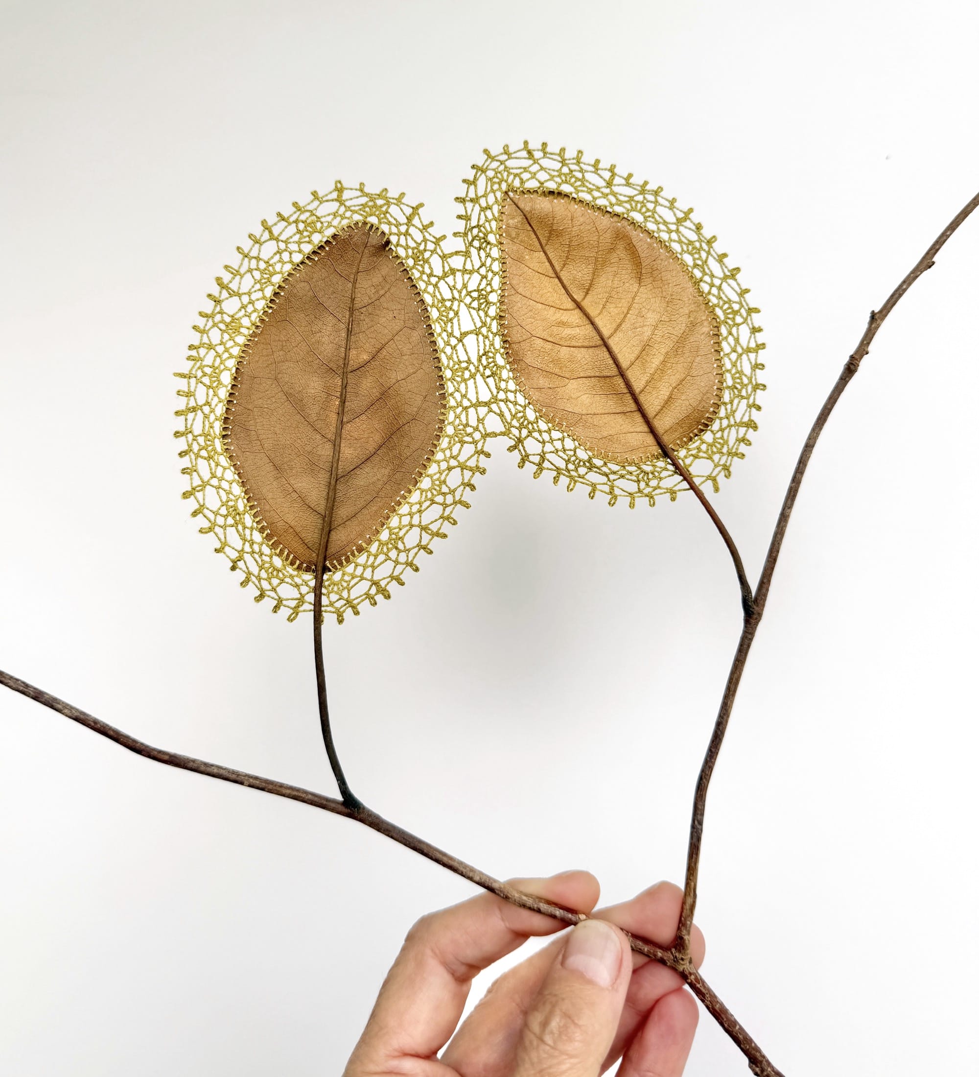 A detail of a composition by Susanna Bauer of a small branch with two leaves that have been stitched with lace around their edges
