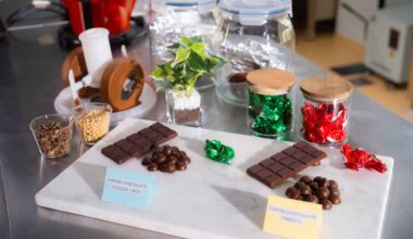 As the Chocolate Crisis Drives Prices Up and Recipes Down, a New Method Turns Carob Tree Pulp into an Ingredient That Tastes Like Cocoa