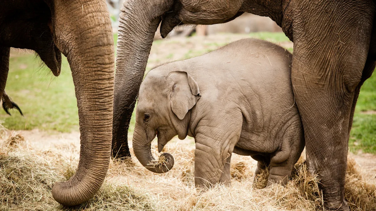 Yahoo lifestyle home