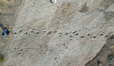 Loma Linda University researchers help unlock the story of the world’s largest dinosaur tracksite