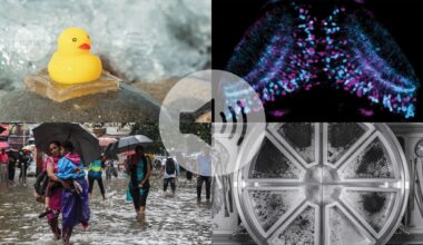 Nature's News & Views roundup of 2025