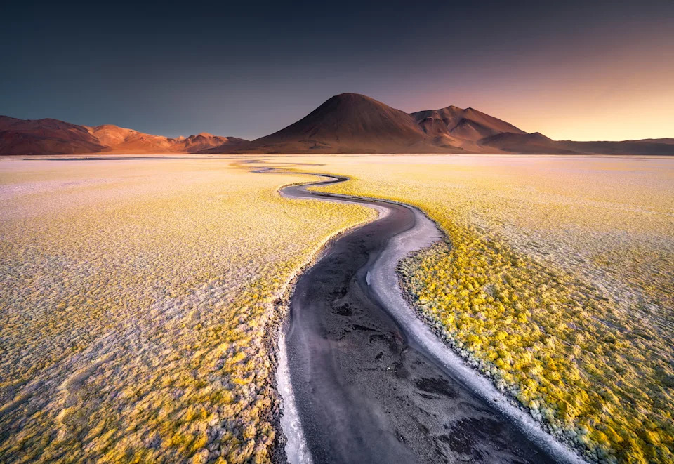 a winding strip of black amongst yellow salt fields