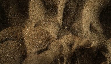 daxue consulting 2024 logo