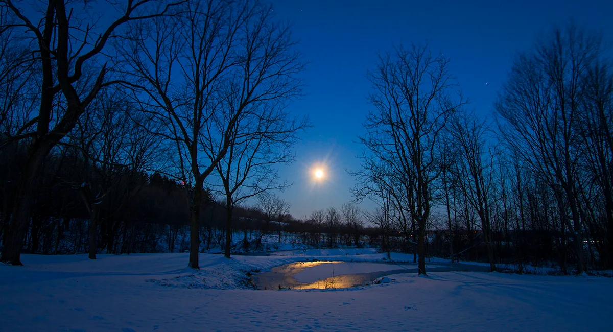December solstice winter scene. Credit: Matt Champlin / Getty Images