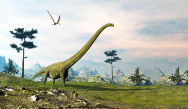 Dinosaur with an incredibly long neck rewrites Jurassic history