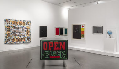 The Studio Museum in Harlem