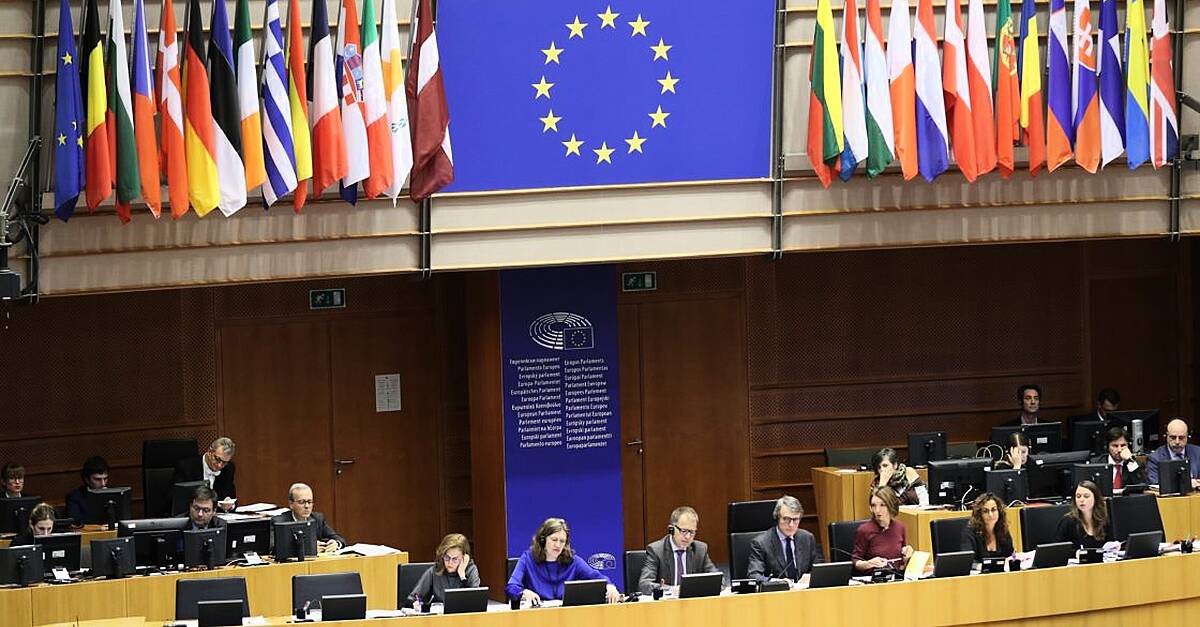 DUP seeks to block Sinn Féin bid for European Parliament ‘observer status’