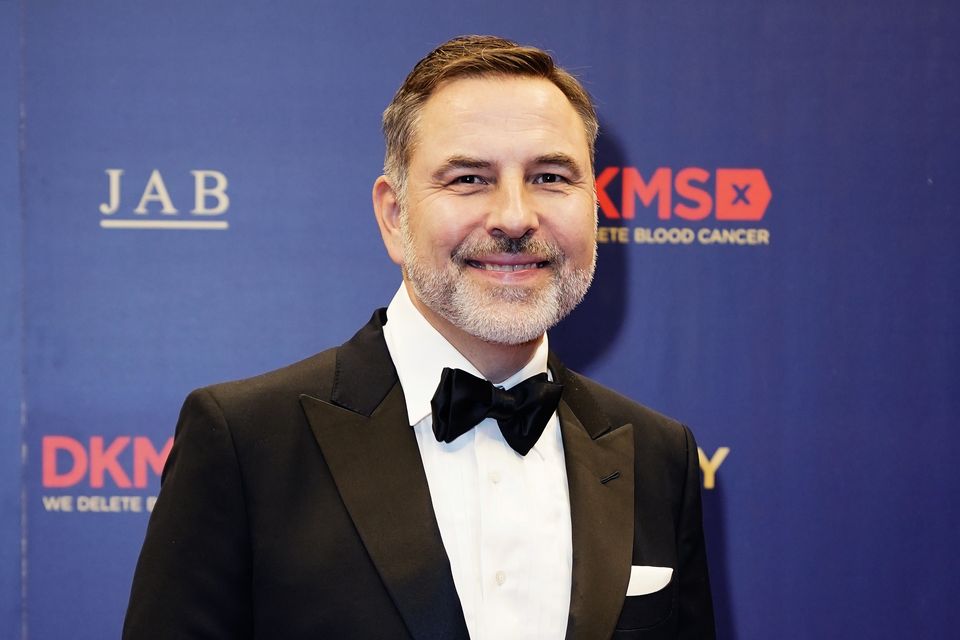 David Walliams. Photo: PA