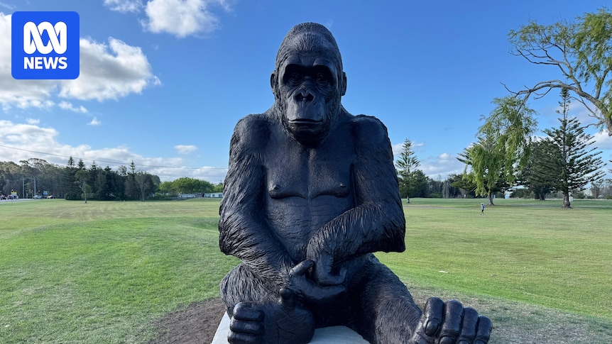 Large gorilla sculpture installed in Batemans Bay park divides opinion