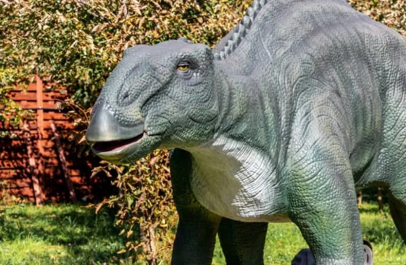 Dinosaur, edmontosaurus close up with open mouth. Ukraine, Khmelnitsky, October 2021. (credit: MVolodymyr/Shutterstock)