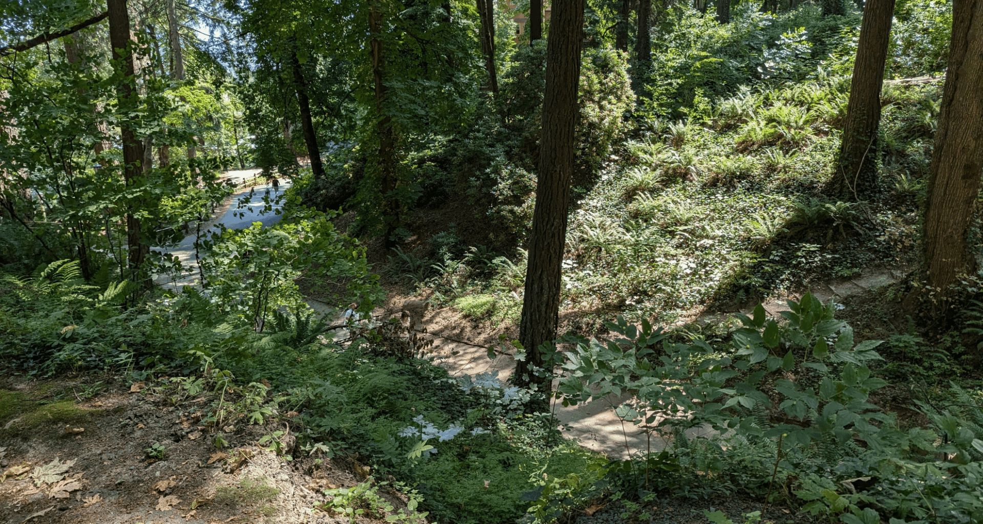 Endangered Predator Makes An Unbelievable Comeback, For The First Time In 80 Years