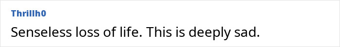 Comment by Thrillh0 expressing grief over senseless loss of life, reflecting concerns about ChatGPT's impact. Comment by Thrillh0 expressing grief over senseless loss of life, reflecting concerns about ChatGPT's impact.