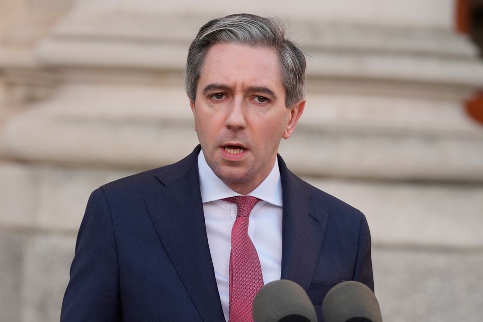 Finance Minister Simon Harris. PA
