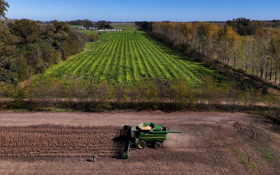 Are farm subsidies a giant waste?