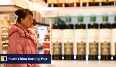 China issues 11-point policy package to boost consumer spending amid slowing retail sales