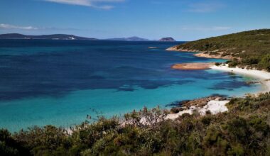 A virtual reality tool I developed is helping Indigenous people connect with Country