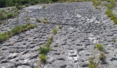 Brighter Side of News