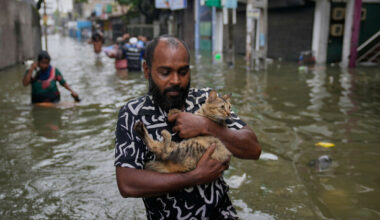 Nearly 1,000 people dead following major flooding across south-east Asia - The Journal